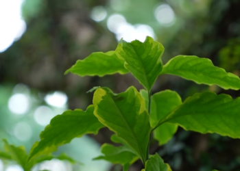 V0401015 นรวมญาต จะม แต ญาต รวยๆท งน part2