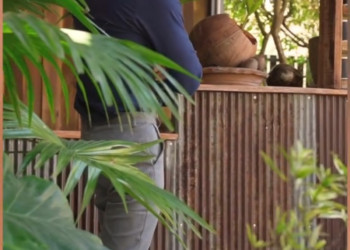 V3001024 คนแบบน ใครๆก อยากร วมงาน part2