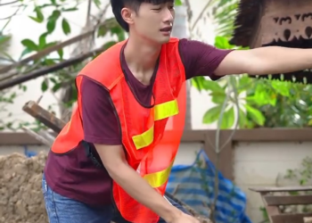 V1002014 งแม ำก บก งทะเลจะอย วยก นได ไหม part2